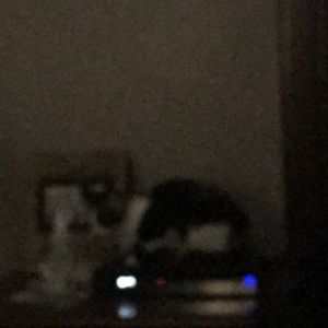 Meet your Posher, Dana